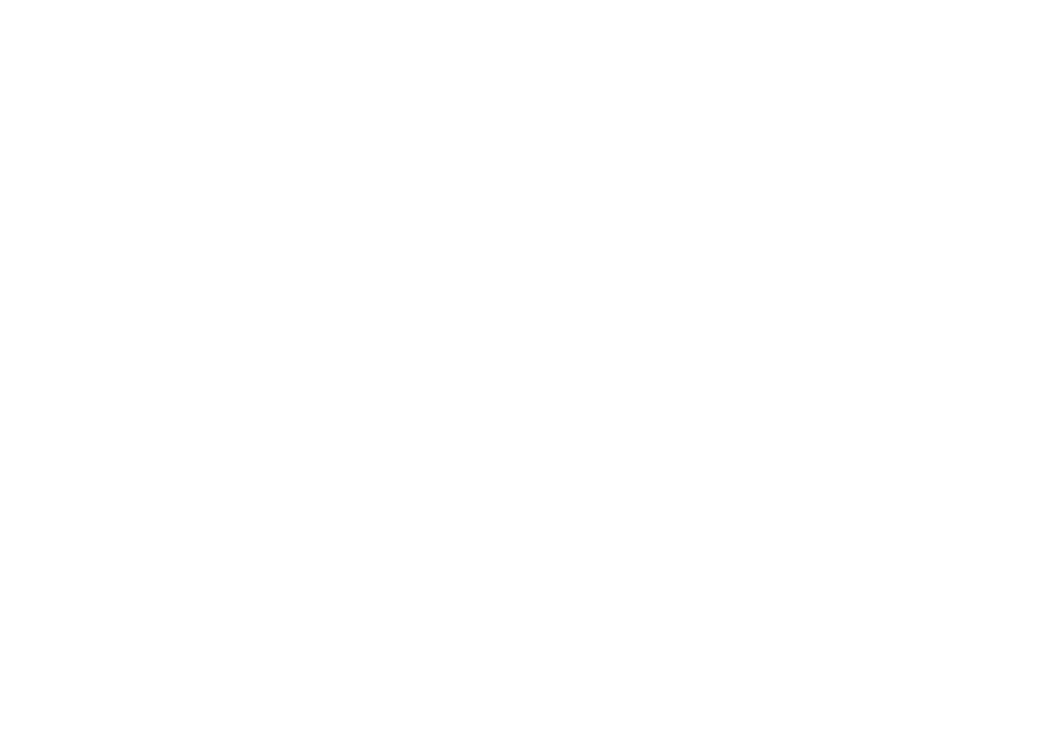 Mint Incorporation Ltd