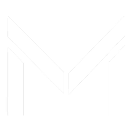 Mint Incorporation Ltd